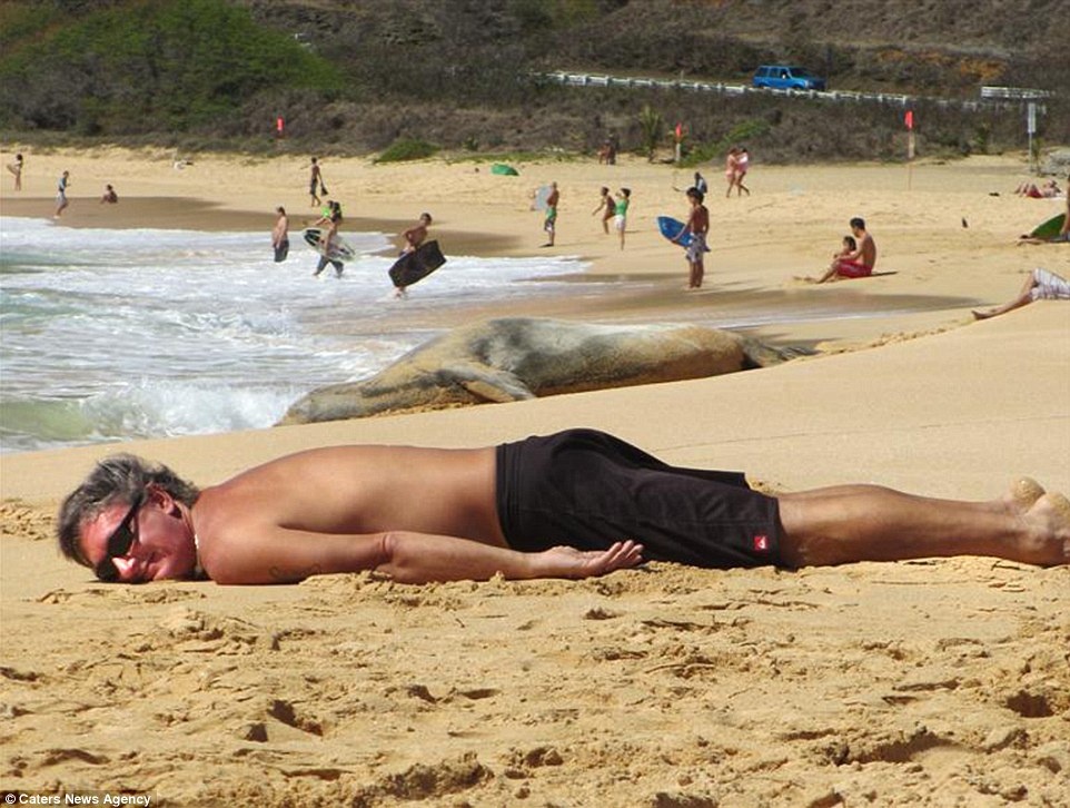 Thư giãn tắm nắng.