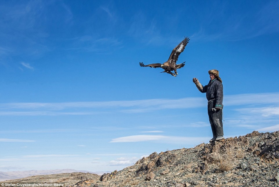Thả đại bàng từ đỉnh núi.