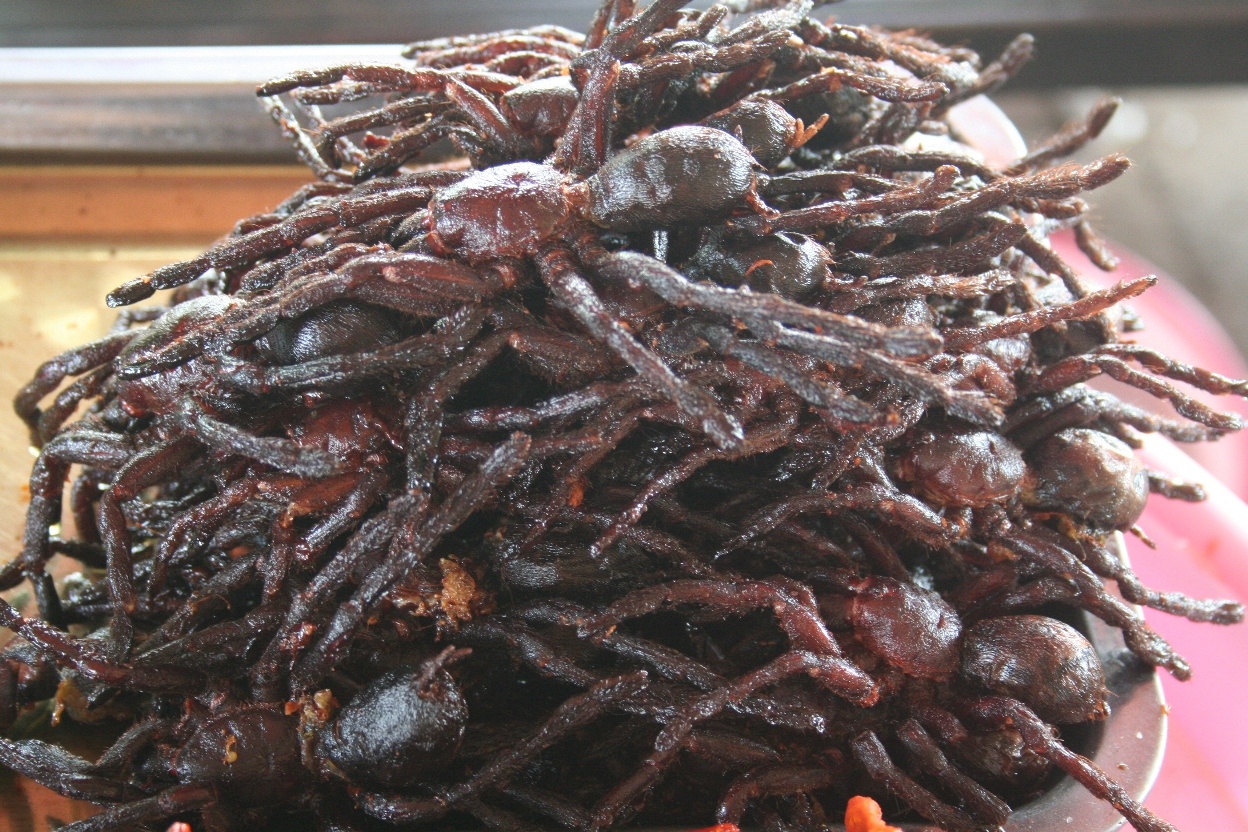 Nhung mon an ghe ron tu con trung hinh anh