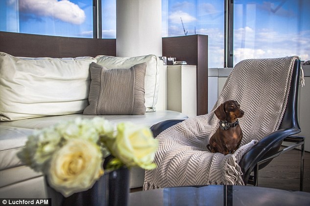 Căn phòng tiện nghi.