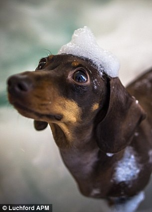 Sử dụng các sản phẩm thiên nhiên.