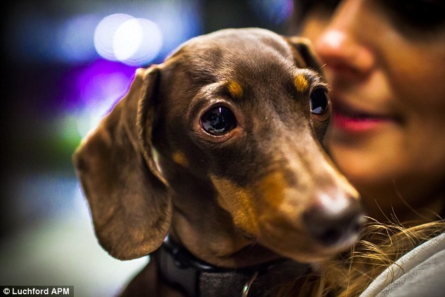 Hoàn toàn thư giãn thoải mái.