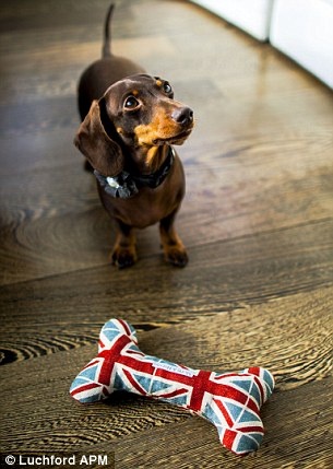 Đồ chơi cao cấp.