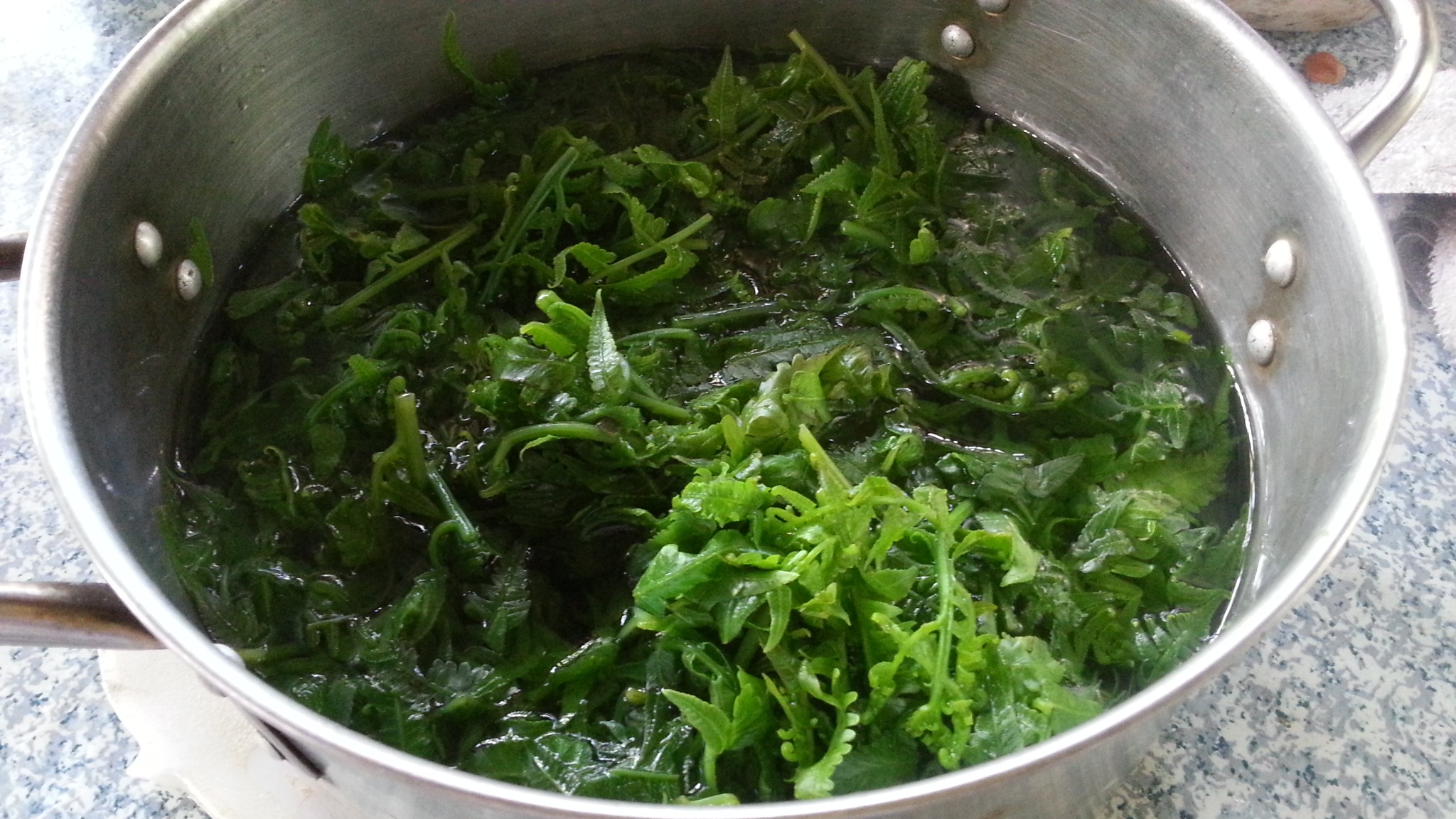 Dương xỉ rửa sạch, trụng qua nước sôi.