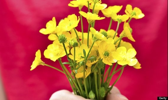 Bulgaria: Đừng bao giờ tặng hoa vàng khi được mời dùng bữa, bởi đó là biểu hiện của sự thù ghét.