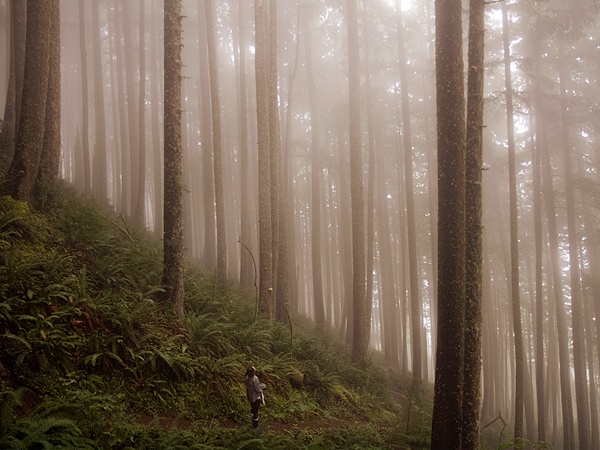 Một nhà leo núi đang nghỉ chân ở đường mòn trên núi Neahkahnie, Oregon. (Ảnh: Lisa Wu)