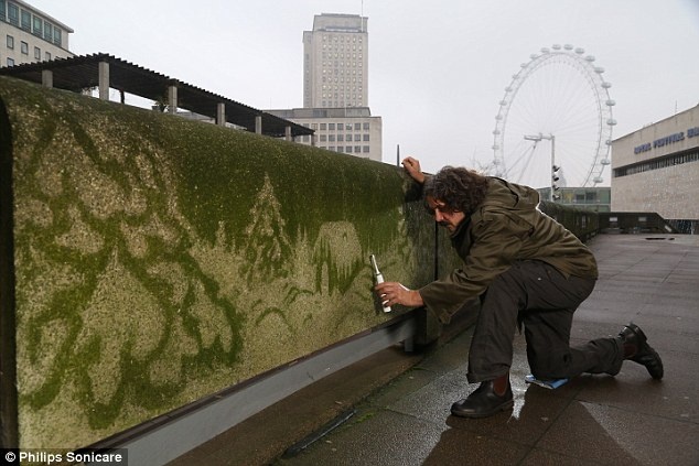 Ông tận dụng bức tường rêu ở bờ nam, dọc sông Thames rồi dùng một bàn chải đánh răng hiệu Sonicare để cạo rêu thành một bức tranh.