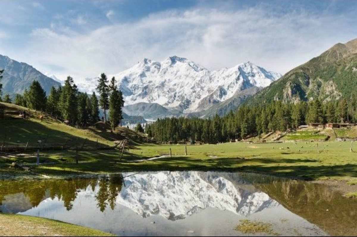 Nanga Parbat: Nằm ở Pakistan, ngọn núi này được biết đến như “Kẻ ăn thịt người”. Nanga Parbat có sườn núi cao hơn 4000 m, là sườn núi cao nhất thế giới. Từ năm 1953, có 62 người thiệt mạng khi tìm cách leo lên đỉnh núi. Những năm gần đây, tỷ lệ người chết là 5,5%.