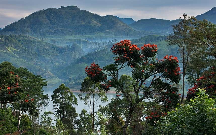 Sri Lanka: Ai cũng biết Sri Lanka đẹp thế nào, nhưng đặc sản ở đây lại là sự nồng ấm thân thiện của người dân. 