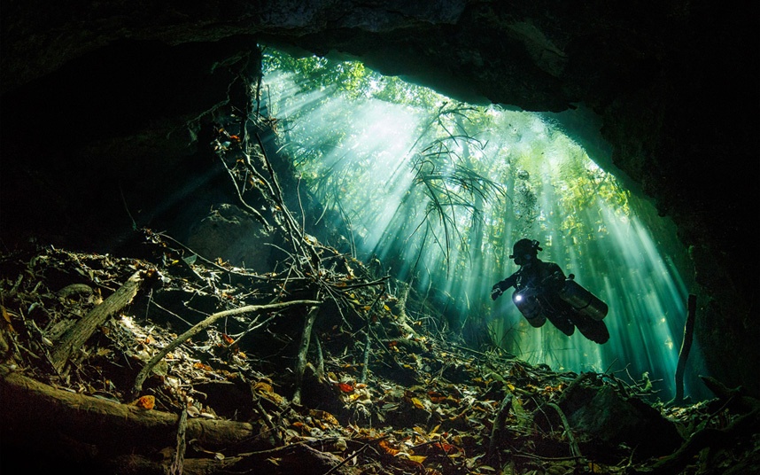 Giải nhì, hạng mục Du lịch sáng tạo – Tác giả Terry Steeley (Anh) với bức ảnh chụp dưới nước.