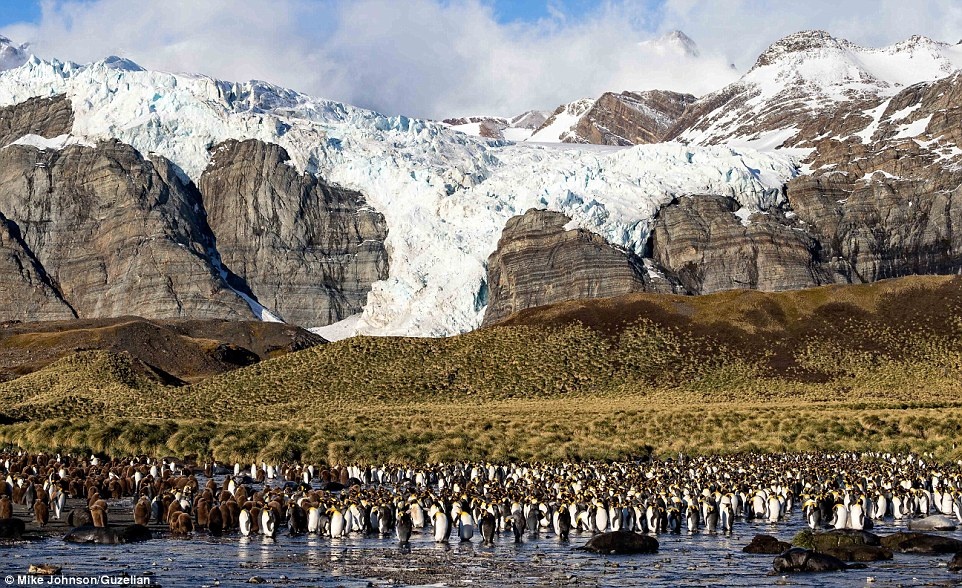 Nhiếp ảnh gia này từng du lịch quanh thế giới để chụp ảnh phong cảnh và động vật hoang dã kể từ khi ông nghỉ hưu 10 năm trước đây. “Động cơ chính của chuyến đi này là đặt chân đến Nam Cực, lục địa cuối cùng mà tôi chưa từng đến”