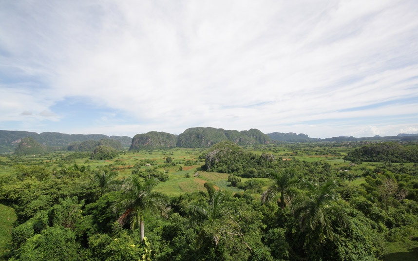 Nơi trồng thuốc lá ở Viñales: Bạn có thể thuê một chiếc xe hơi và lái về phía tây tới thung lũng Viñales, đây là một góc đẹp nhất của Cuba, nơi những ngọn núi đá vôi mọc lên giữa cánh đồng cây thuốc lá.