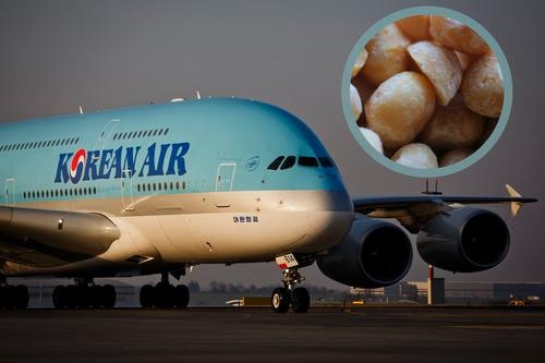 Sự cố hạt mắc ca của hãng Korean Air: Vụ việc con gái chủ tịch hãng Korean Air đuổi một tiếp viên trên chuyến bay từ sân bay JFK do không phục vụ hạt mắc ca trên đĩa thay vì để trong túi gây ồn ào thời gian cuối năm. Bà Cho Hyun-ah sau đó đã phải xin lỗi trước báo giới và từ chức. Điều bất ngờ là các nhà bán lẻ tại Hàn Quốc lại đưởng hưởng lợi khi doanh số bán hạt mắc ca tăng vọt sau vụ bê bối do nhiều người tò mò về mùi vị của loại hạt này.