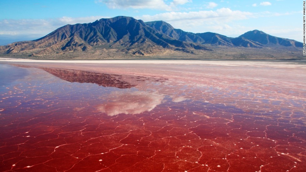 Hồ Natron, Tanzania: Hồ nằm dọc thung lũng Great Rift với làn nước cực mặn và cực nóng đến nỗi hồ còn có tên goi là hồ tử thần. Dung nham từ ngọn núi lửa hàng triệu năm tuổi Ol Doinyo Lengai chảy xuống hồ mang theo một lượng muối khoáng đặc biệt với nồng độ kiềm rất cao, khiến những loài vật không may sảy chân rớt xuống hồ bị phân hủy và vôi hóa. Khi mực nước xuống thấp, các xác động vật dạt vào bờ, trên mình còn phủ một lớp muối. 
