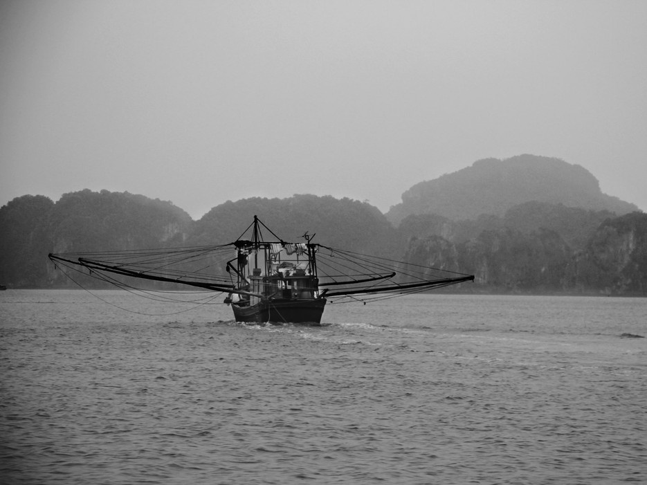 Bạn sẽ cảm thấy mình như đang là họa sĩ đi săn màu sắc, với màu đỏ của quốc kỳ Việt Nam trên nền gỗ cũ kỹ của những con tàu.