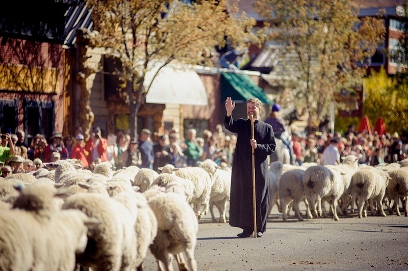 Sự kiện này có tên gọi “Trailing of the Sheep” thuộc khuôn khổ lễ hội kéo dài 4 ngày ở thị trấn Ketchum, nhằm tôn vinh lịch sử và truyền thống nuôi cừu lâu đời ở miền tây nước Mỹ.