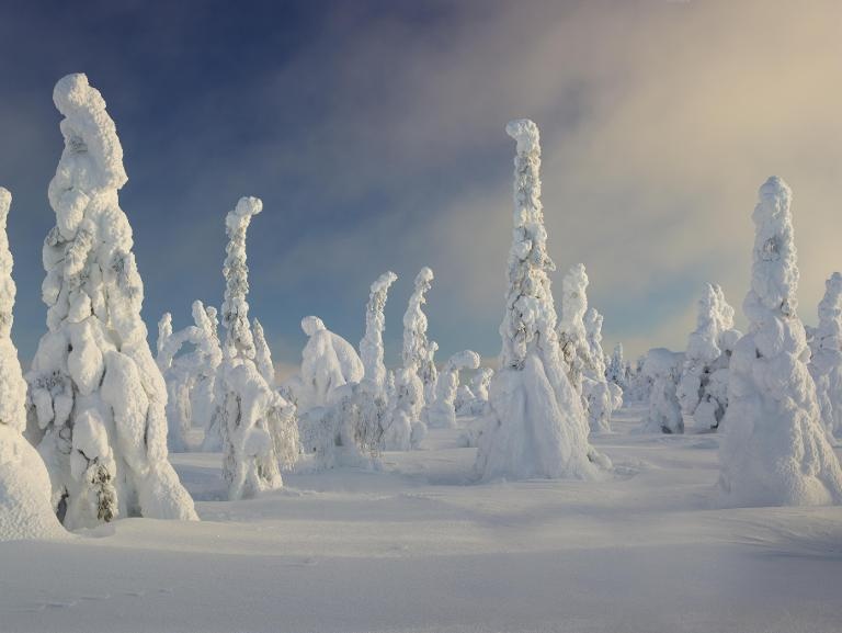 Banff, British Columbia: Với những mặt hồ xanh thẳm, những ngọn núi cao hung vĩ, những dòng sông băng ngoạn mục, Banff là nơi có địa hình đẹp nhất vùng Bắc Mỹ. Tuy nhiên, nếu bạn đến đây du lịch thì cẩn phải thực sự cẩn trọng. Nhiệt độ ở đây thay đổi bất ngờ, đặc biệt cần cảnh giác động vật hoang dã. Những chú gấu ngủ đông thường thức dậy từ đầu hè, do thời tiết ấm lên và tuyết tan trên các sườn núi. Hồi tháng 3 năm ngoái đã có 3 người chết vì lở tuyết.