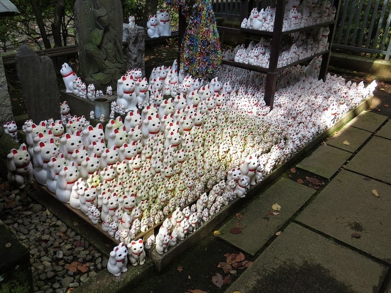 Cảm kích chú mèo đã cứu sống mình, lãnh chúa bỏ ra rất nhiều tiền trùng tu ngôi đền và đặt tên là Gotokuji. 