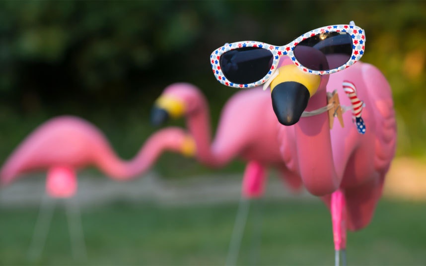 Allison Scott ở khách sạn Broadmoor, Colorado Springs tiết lộ: “Có một vị khách yêu cầu chúng tôi kiếm 100 con chim hồng hạc bằng nhựa. Chúng tôi không biết tại sao vị khách đó yêu cầu thế, và vị đó để chim hồng hạc khắp nơi trong phòng, từ bồn tắm, giường ngủ đến bàn làm việc”.