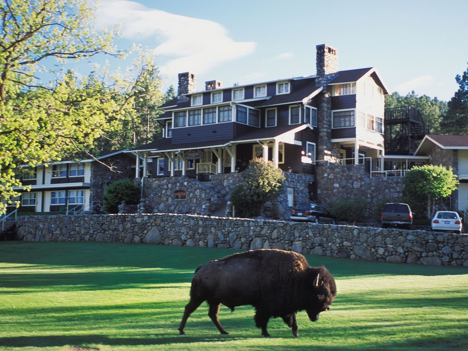 State Game Lodge, công viên Custer, South Dakota: Khách sạn nằm lọt thỏm trong 287,3 km2, đây là nơi có 1.300 chú bò rừng lượn lờ mỗi ngày.