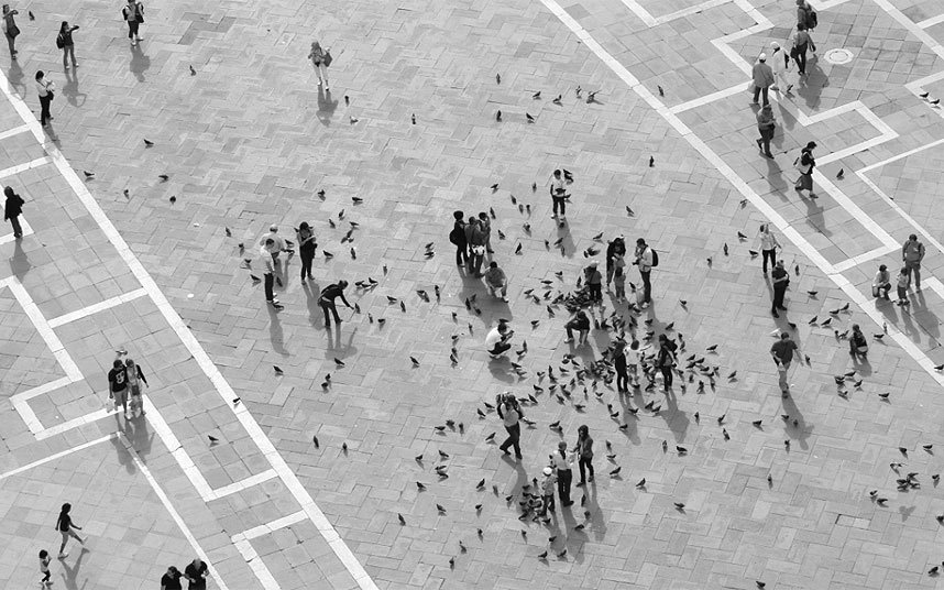 Tuyệt đối không được cho bồ câu ăn ở Venice vì hành động này hoàn toàn bị cấm.