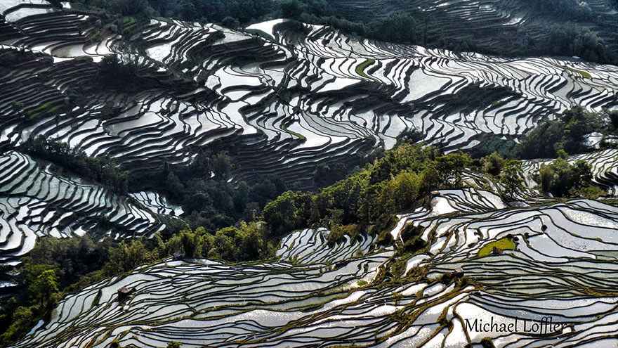 Ruộng bậc thang Yuanyang, Vân Nam, Trung Quốc.