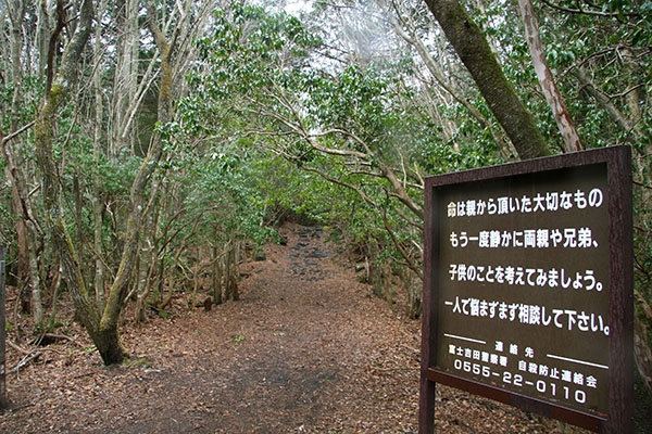 Rừng Aokigahara (Nhật Bản): Khu rừng rộng 30 km2 ở phía bắc núi Phú Sĩ này còn có tên là “rừng Tự Sát” vì đây là nơi có nhiều vụ tự sát nhất Nhật Bản. Cảnh sát cho biết 247 người tìm cách tự tử ở đây năm 2010, trong số đó 54 người thiệt mạng. Con số này thực tế có thể cao hơn nhiều do nhiều người đến rừng Aokigahara nhưng lại bỏ mạng ở cánh rừng khác vì họ không biết chính xác rừng Aokigahara nằm ở vị trí nào. Sau khi cuốn tiểu thuyết Kuroi Jukai được xuất bản năm 1961 có nội dung một người tình trẻ tự sát trong rừng, người Nhật bắt đầu “phong trào” tự sát tại rừng Aokigahara với con số 50 – 100 người chết vì tự sát mỗi năm.
