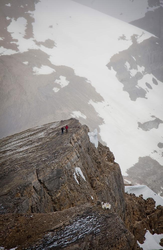 Anh hy vọng sẽ gây cảm hứng cho các cặp đôi đang yêu, để có thể sẵn sàng vượt rừng băng núi thể hiện tình yêu của mình.