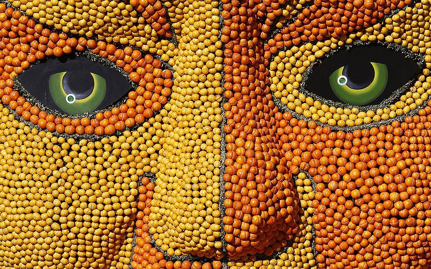 Den dai lam tu hang nghin tan cam, chanh hinh anh