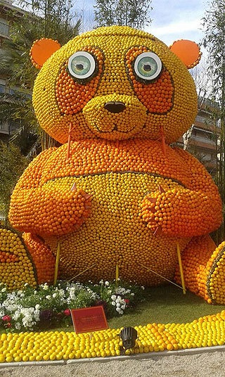 Một chú Panda tròn ủng.