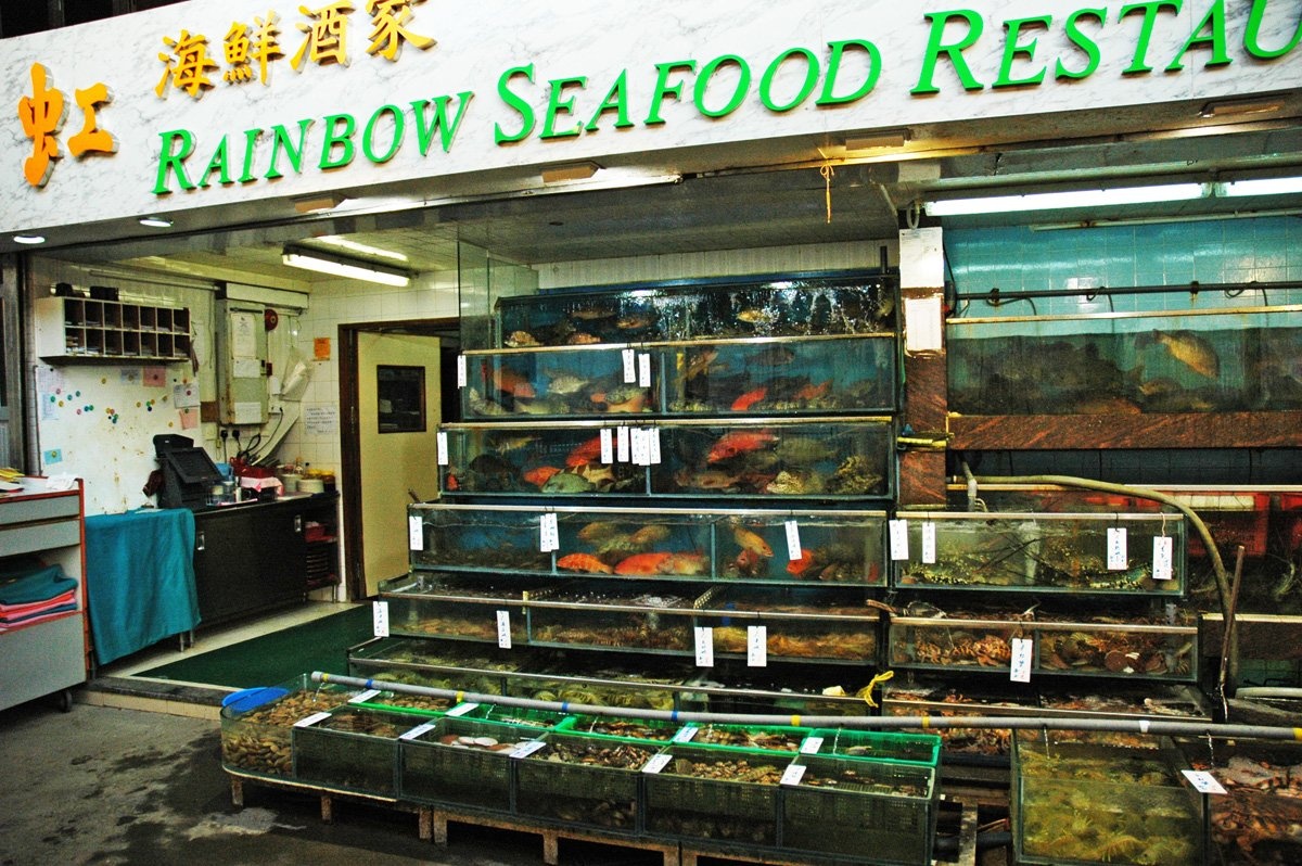 Thưởng thức các loại hải sản tươi rói ở làng chài trên đảo Lamma.