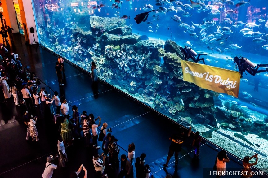 Sở thú và thủy cung: Đây là vườn thú dưới nước  đẹp và lớn nhất thế giới với dung tích 10 triệu lít, nằm trong Dubai Mall. Vườn thú có hơn 33.000 loài động vật, bao gồm hàng trăm loài cá mập, cá đuối, rái cá và cá da trơn khổng lồ.