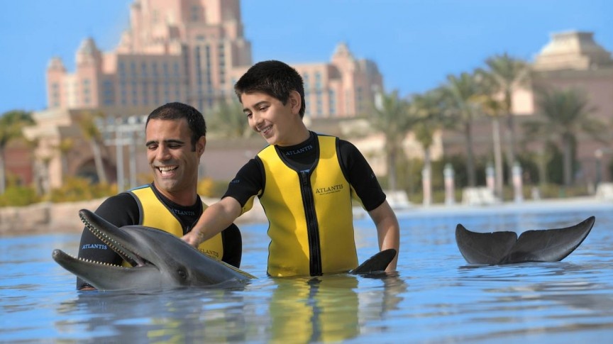Dolphin Bay: Vịnh Cá Heo có đủ các hoạt động cho mọi lứa tuổi, là nơi vui chơi lý tưởng cho gia đình và bạn bè. Du khách có thể ngắm đàn cá heo tung tăng bơi lội, thậm chí bơi cùng cá heo. Đây là khu vực nhiều cá heo nhất thế giới mà du khách không thể bỏ lỡ khi đến Dubai.