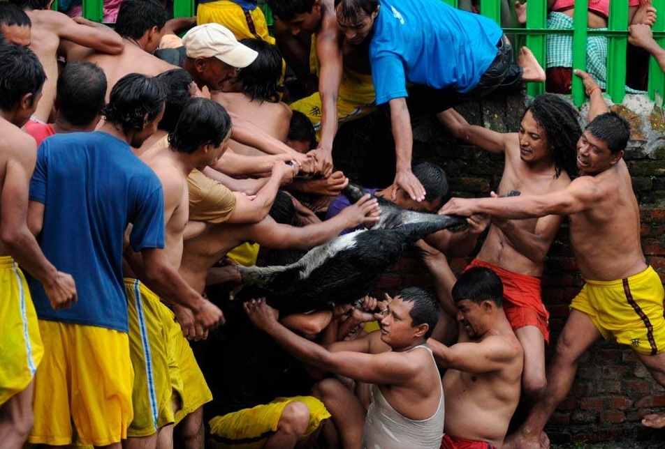 Giết động vật (Ấn Độ, Indonesia, Nepal): Người ta thực hiện hủ tục này bằng cách xiết cổ con vật rồi đâm chết. Hành động này nhằm tôn vinh vị thần của đạo Hindu. Ngoài ra, người ta còn chơi chọi gà nhân dịp này và tin rằng, việc đổ máu là để thanh lọc và xoa dịu những linh hồn ác quỷ.