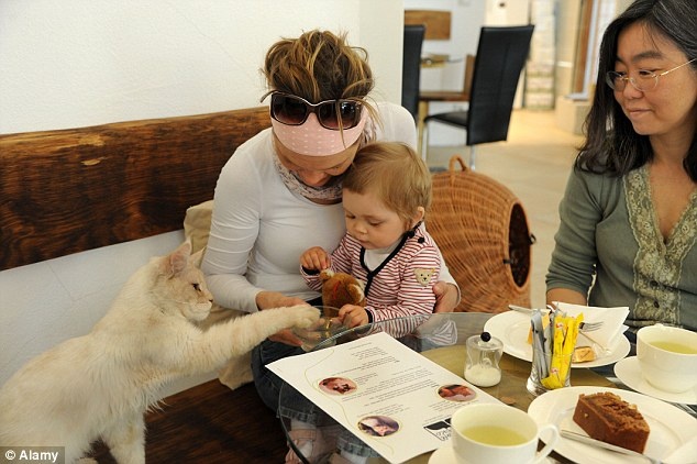 Takako Ishimitsu , chủ quán cà phê mèo Neko tại Vienna, Áo âu yếm ngắm hai mẹ con khách hàng đang chơi với một chú mèo. 