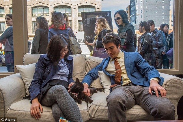 Du khách thích thú với quán cà phê mèo ở New York mở cửa từ tháng 4 năm ngoái.