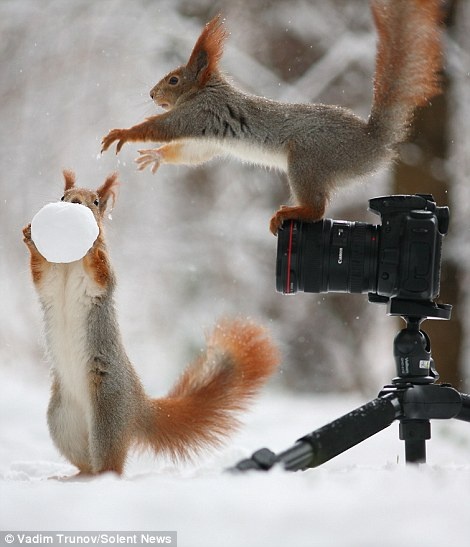 Ngay sau đó, “nhiếp ảnh gia” có vẻ không còn hứng thú gì với chiếc máy ảnh và đòi quả cầu tuyết của “mẫu ảnh”.