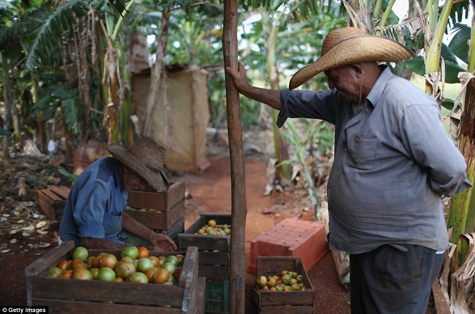 Một số chuyên gia du lịch khuyên du khách nên đến Cuba sớm để có cơ hội chứng kiến cuộc sống và văn hóa chưa bị pha tạp của người Cuba.