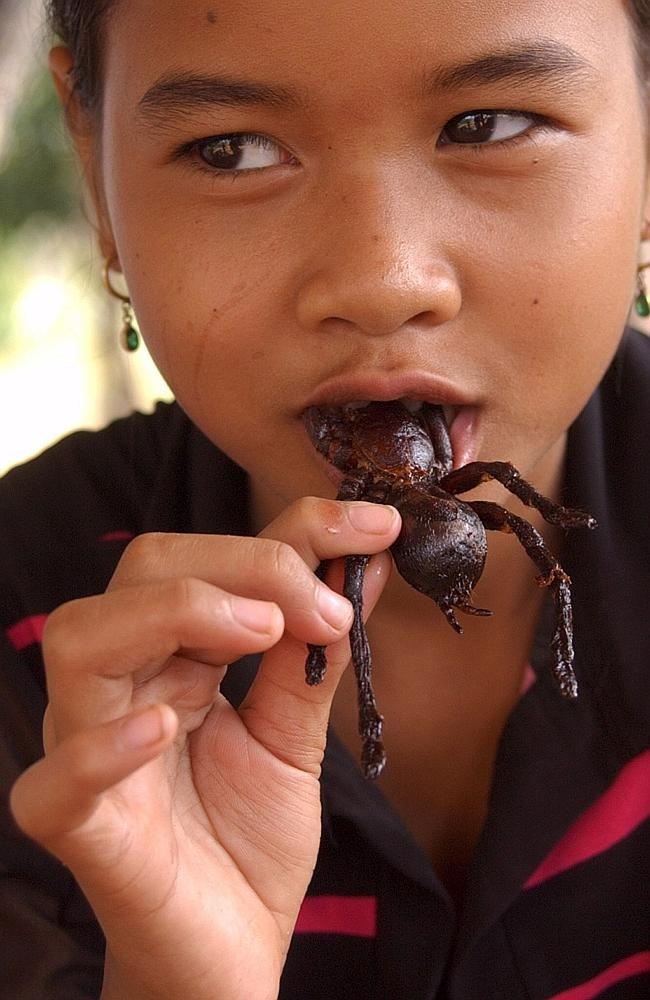 Nhện Campuchia: Người ta cho rằng món ăn này có từ nạn đói do người Campuchia thiếu lương thực dưới thời Khmer đỏ. Món ăn ngày nay trở nên phổ biến tại các khu du lịch. Nhện ngon nhất là khi mới bắt, rán với tỏi và muối.