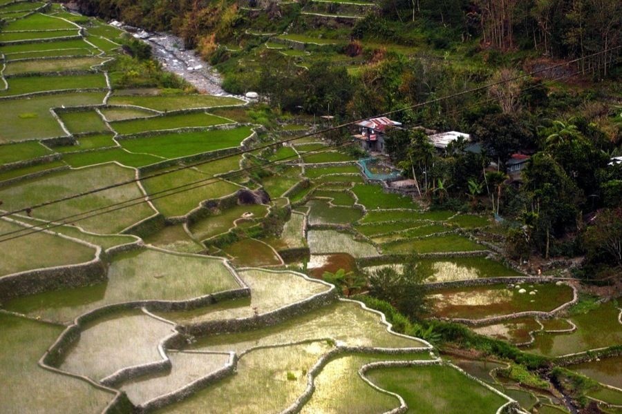 Ruộng bậc thang Hapao.