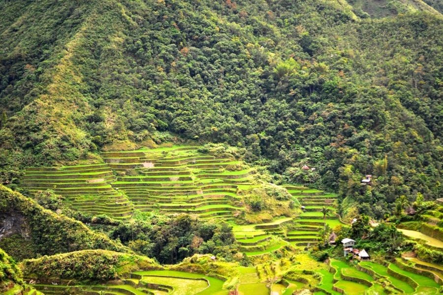 Nhiều du khách bắt đầu hành trình khám phá Cordillera từ thị trấn Banaue, cách Manila 15 giờ xe buýt.