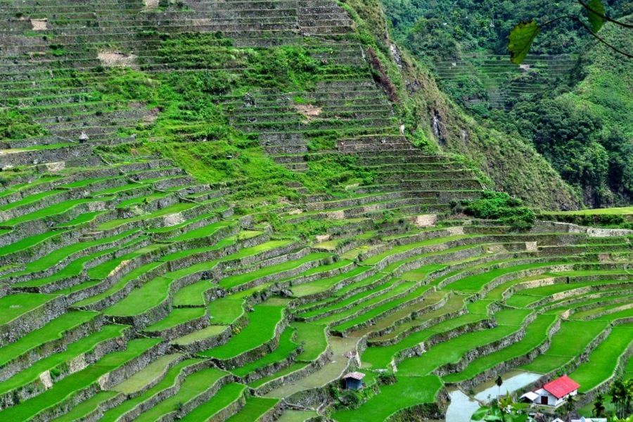 Người Philippines gọi Cordillera là kỳ quan thứ 8 của thế giới, còn UNESCO cho rằng đây là đóng góp vô giá của các bậc tiền nhân Philippines cho nhân loại.