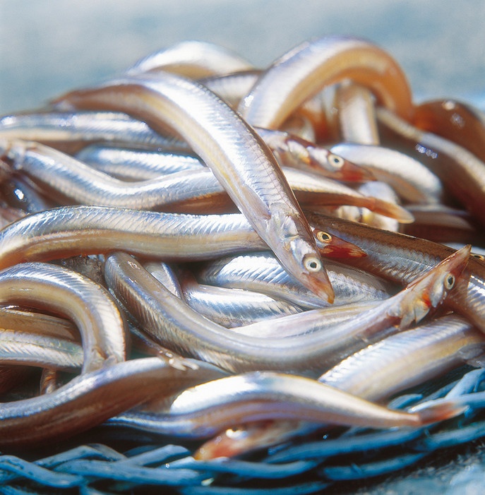 Không mang đồ biển trong hành lý xách tay: Năm 2012, một hành khách ở Miami mang lậu 163 con cá cùng một túi lươn con trong hành lý xách tay. Một người khác bị bắt khi đang mang 30 con rắn và vài con chim đến Atlanta. Năm 2011, một người đàn ông ở sân bay Suvarnabhumi, Bangkok bị bắt giữ khi cố găng buôn cả “vườn thú” gồm hai con báo hoa, hai con báo đen, một con gấu đen và hai con khỉ.