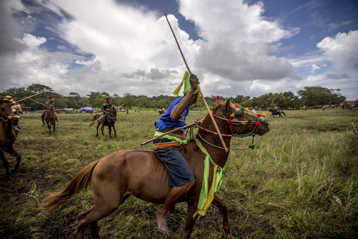 Lễ hội Pasola trước kia từng sử dụng giáo mũi sắt hoặc dao, khiến nhiều người chết và bị thương trong khi đánh nhau. Ngày nay, người Sumban dùng giáo cùn nhưng vẫn rất nguy hiểm. Vài năm trước, một người xem bị thiệt mạng khi bị giáo đâm trúng mắt. Nếu một người bị ngã ngựa thì người kia không đánh nữa mà ném giáo đi và đấm tay vào không khí như một người chiến thắng trong sự cổ vũ của khán giả.