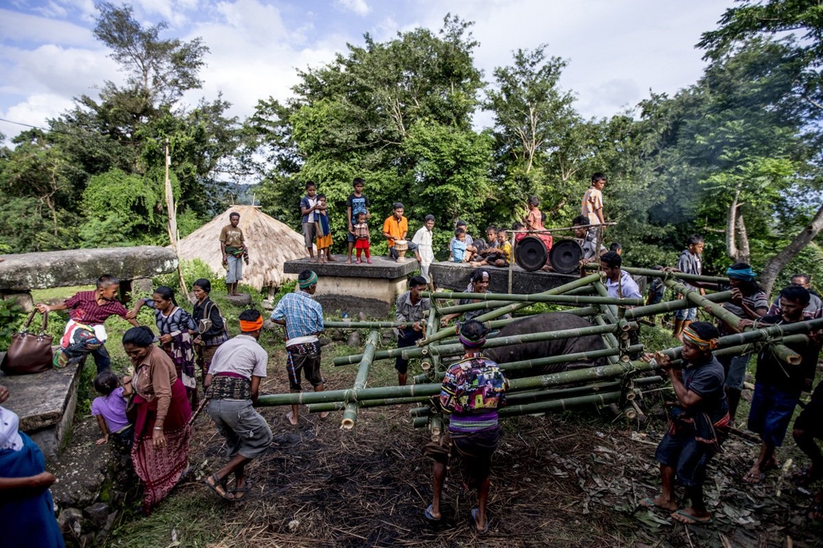 Ngoài lễ hội Pasola, đám tang cũng là một nghi lễ quan trọng của người Sumba. Người làng giết trâu, lợn để cúng tế thần và người chết.
