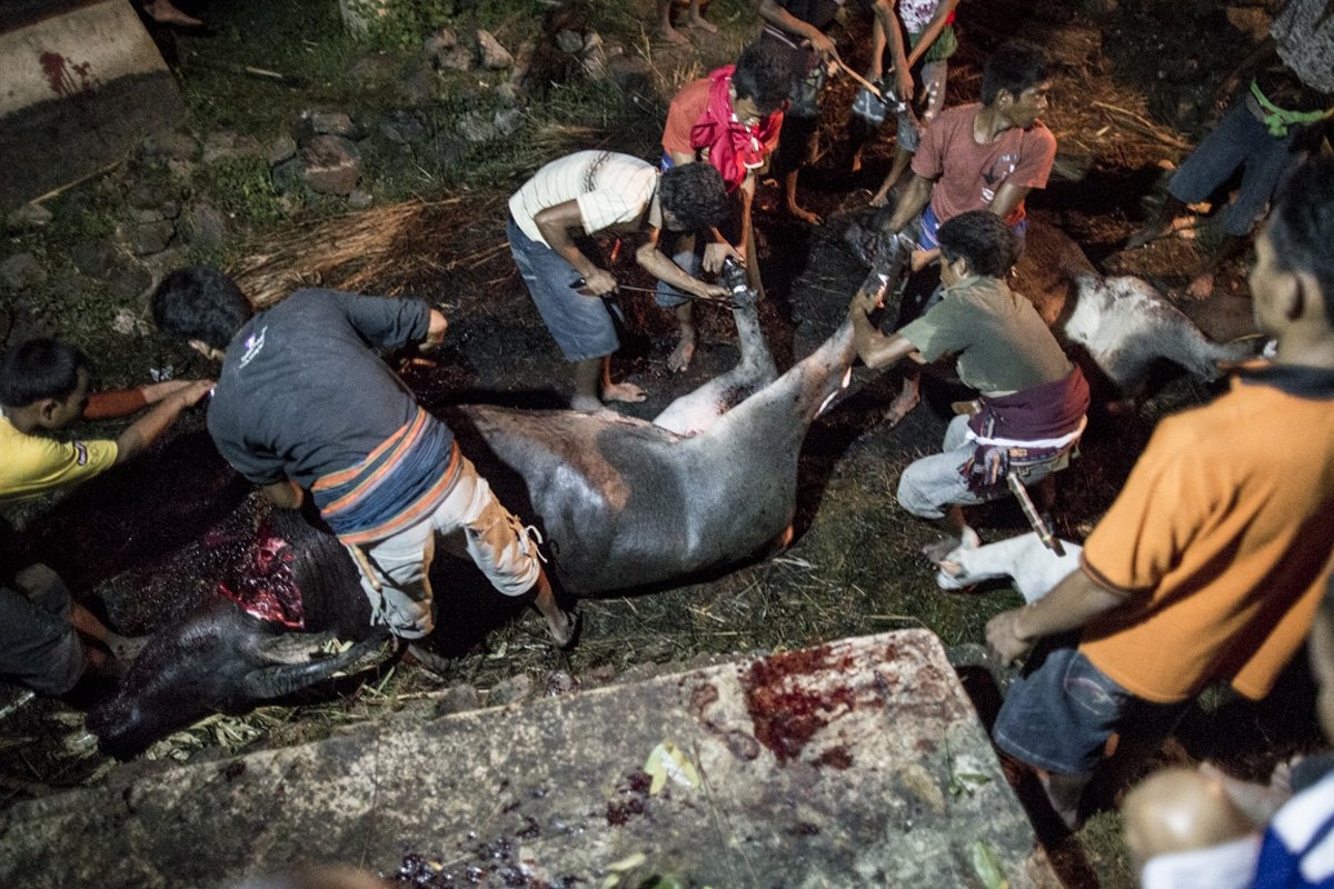 Một bà sơ thường chủ trì tang lễ. Đầu tiên họ thịt chó, rồi thịt lợn và sau cùng là mổ trâu. Người ta chỉ thịt ngựa khi một đấu sĩ qua đời để cho anh ta có ngựa mang về thế giới bên kia.