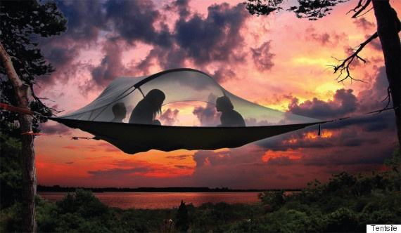 Chang day, ngu nhu Tieu Long Nu giua rung hinh anh