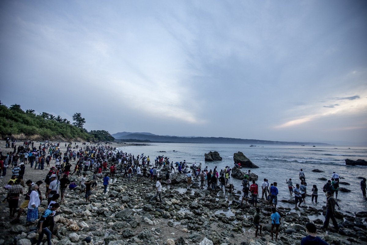 Sau khi các ratus tiên đoán về vụ mùa và chốt ngày cho lễ hội, người Sumba kéo ra bờ biển để tận mắt đánh giá những con sâu biển.