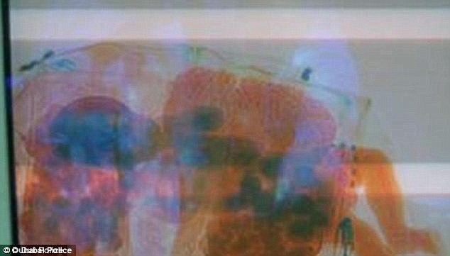 Đây không phải lần đầu tiên trẻ em được giấu trong hành lý xách tay mang lên máy bay. Năm 2012, một cặp đôi người Ai Cập hạ cánh tại sân bay quốc tế Sharjah với đứa con 5 tháng tuổi trong túi xách mà không có giấy tờ nhập cảnh hợp lệ. 