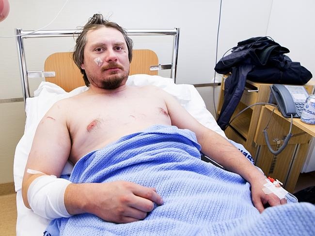 Gau Bac Cuc tan cong du khach hinh anh